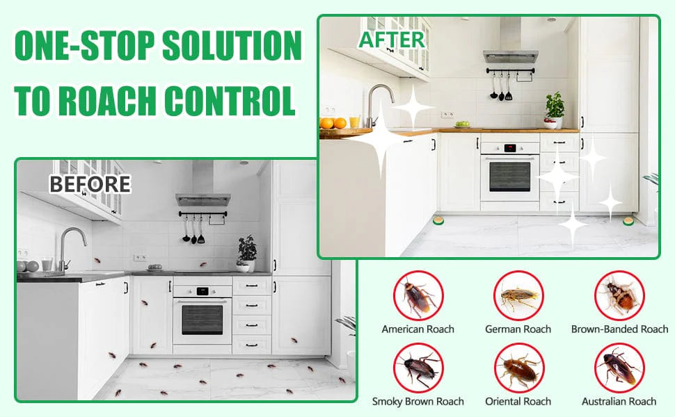 Cockroach Killer Powder Gel (pack Of 24) – The Ultimate Pest Control Solution